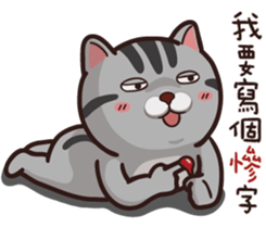 VITA VITA part.2 sticker #15516651