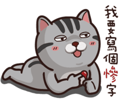 VITA VITA part.2 sticker #15516651