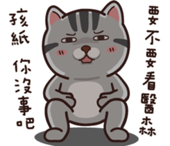 VITA VITA part.2 sticker #15516666