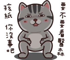 VITA VITA part.2 sticker #15516666