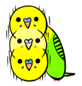 crazy bobbing budgie sticker #15516802