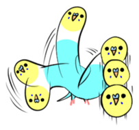 crazy bobbing budgie sticker #15516805