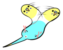 crazy bobbing budgie sticker #15516806