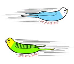 crazy bobbing budgie sticker #15516807
