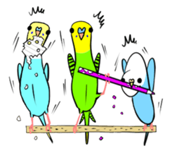 crazy bobbing budgie sticker #15516808