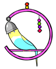 crazy bobbing budgie sticker #15516809