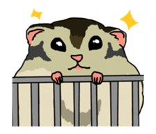 LOVE Hamster animation sticker #15517267