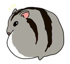 LOVE Hamster animation sticker #15517268