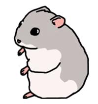 LOVE Hamster animation sticker #15517277