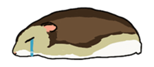 LOVE Hamster animation sticker #15517279