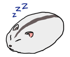 LOVE Hamster animation sticker #15517283