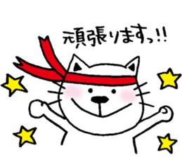 cat and a rabbit and bear cute loosely 3 sticker #15517546