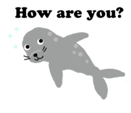 Lovely gray Seal sticker #15517668