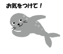 Lovely gray Seal sticker #15517671