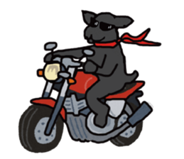 Labrador-B sticker #15518134