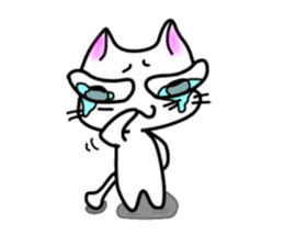 nekonekone monologue White cat Plan sticker #15519194