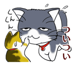 Tsundere cat harukichi 3 sticker #15519228