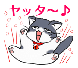 Tsundere cat harukichi 3 sticker #15519229