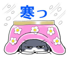 Tsundere cat harukichi 3 sticker #15519231