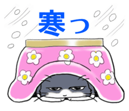 Tsundere cat harukichi 3 sticker #15519231