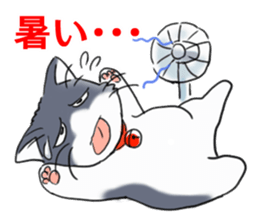 Tsundere cat harukichi 3 sticker #15519232