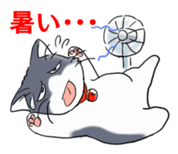 Tsundere cat harukichi 3 sticker #15519232
