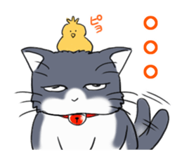 Tsundere cat harukichi 3 sticker #15519234