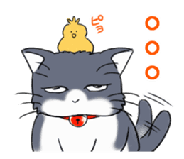 Tsundere cat harukichi 3 sticker #15519234