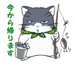 Tsundere cat harukichi 3 sticker #15519235