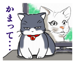 Tsundere cat harukichi 3 sticker #15519236