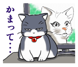 Tsundere cat harukichi 3 sticker #15519236