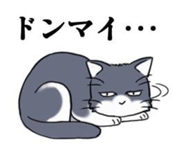 Tsundere cat harukichi 3 sticker #15519237