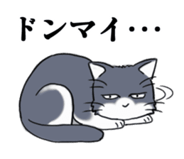 Tsundere cat harukichi 3 sticker #15519237