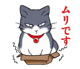 Tsundere cat harukichi 3 sticker #15519238