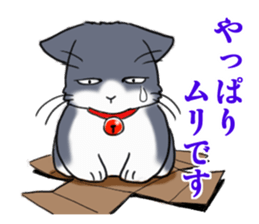 Tsundere cat harukichi 3 sticker #15519239