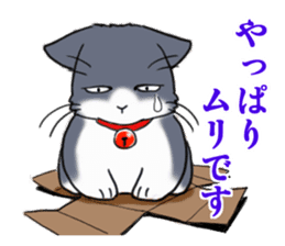 Tsundere cat harukichi 3 sticker #15519239