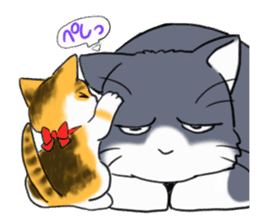 Tsundere cat harukichi 3 sticker #15519240