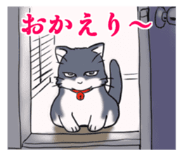 Tsundere cat harukichi 3 sticker #15519244