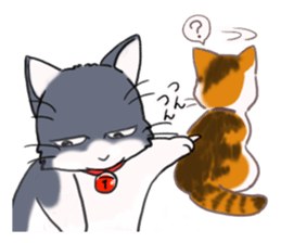 Tsundere cat harukichi 3 sticker #15519246