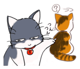 Tsundere cat harukichi 3 sticker #15519246