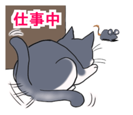 Tsundere cat harukichi 3 sticker #15519247