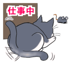 Tsundere cat harukichi 3 sticker #15519247