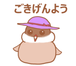 Lady cinnamon java sparrow Cinnamonchan2 sticker #15520578