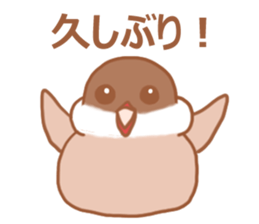 Lady cinnamon java sparrow Cinnamonchan2 sticker #15520582