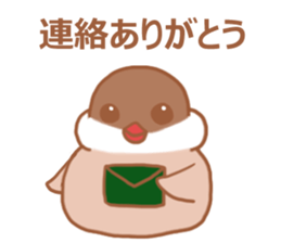 Lady cinnamon java sparrow Cinnamonchan2 sticker #15520583