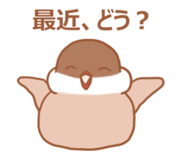 Lady cinnamon java sparrow Cinnamonchan2 sticker #15520584