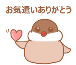 Lady cinnamon java sparrow Cinnamonchan2 sticker #15520589