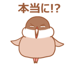 Lady cinnamon java sparrow Cinnamonchan2 sticker #15520595