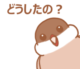 Lady cinnamon java sparrow Cinnamonchan2 sticker #15520600