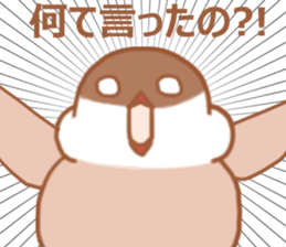 Lady cinnamon java sparrow Cinnamonchan2 sticker #15520601